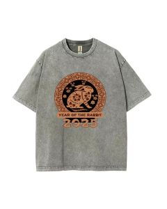 Year Of The Rabbit 2025 Unisex Teen T-Shirt - Summer Casual Wear | School & Weekend Style | Birthday & Holiday Gift | Men's Flannel & Oversized Fit