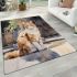 Playful orange and white cat in the fountain garden area rugs carpet