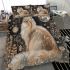 Longhaired british cat in lunar gardens bedding set