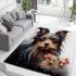 Shih tzu and friends at home area rugs carpet