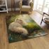 Persian cat in natural settings area rugs carpet