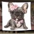 Adorable grey french bulldog puppy wearing pink roses blanket