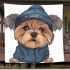 Cute yorkshire terrier in hoodie blanket