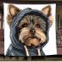 Cute yorkshire terrier in hoodie blanket
