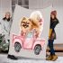 Cute pomeranian dog in a pink truck with flowers blanket