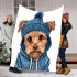 Cute yorkshire terrier in hoodie blanket