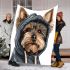 Cute yorkshire terrier in hoodie blanket