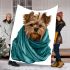 Cute yorkshire terrier wrapped in teal blanket blanket