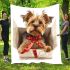 Cute yorkshire terrier inside blanket