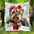 Cute yorkshire terrier inside a large gift box blanket