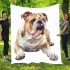 Watercolor english bulldog clipart blanket