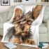 Cute baby yorkshire terrier portrait clipart blanket