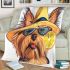 Cute yorkshire terrier wearing summer blanket