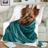 Cute yorkshire terrier wrapped in teal blanket blanket