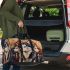 Alaska dogs with dream catcher 3d travel bag