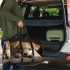 Cherishing the Cuteness of Dogs Travel Bag