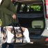 Cute baby yorkshire terrier portrait clipart 3d travel bag