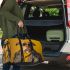 Dogs Setting Trends with Style 4 Travel Bag