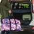 Dragonflie, pink and purple colors 3d travel bag