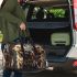 Labrador retriever dogs and dream catcher 3d travel bag