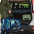 Longhaired British Cat in Celestial Gardens 2 3D Travel Bag