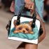Cute yorkshire terrier dog peeking shoulder handbag