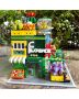 Potted Plant Shop Modular Building Set – 2647pcs Botanical Toy Gift