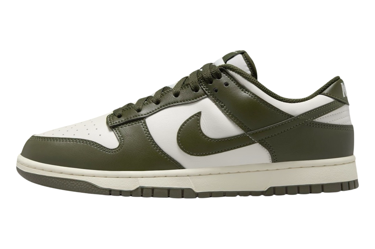 Minomog Dunk Low Casual Lifestyle Shoes Sneakers – Low Cut Street Style Comfort